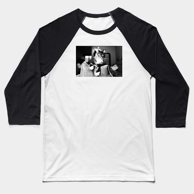 Cat main coon black and white II / Swiss Artwork Photography Baseball T-Shirt by RaphaelWolf